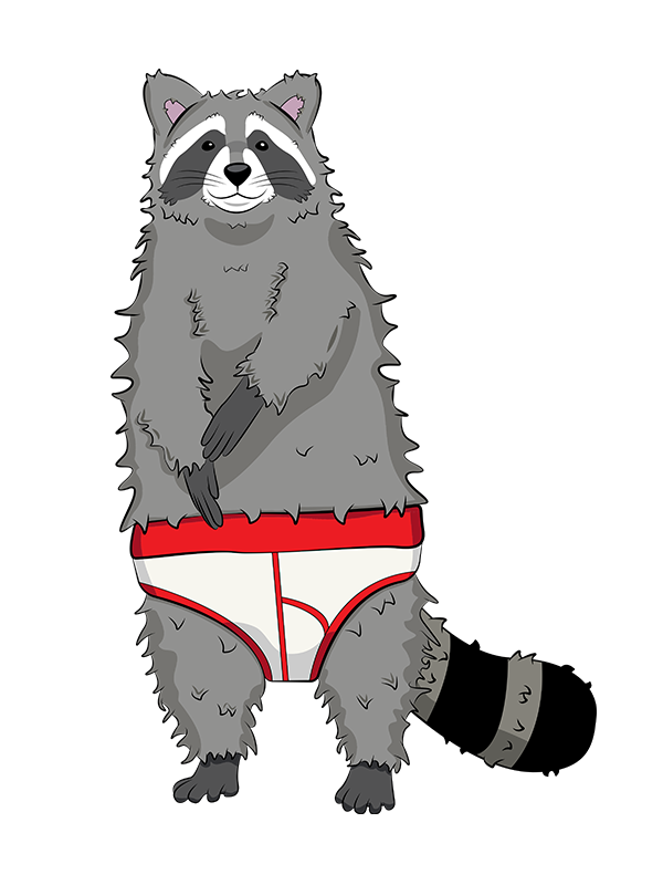 A raccoon in underpants.